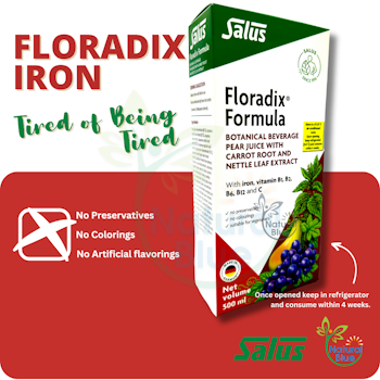 SALUS BHB - Floradix Iron, 500ML </br>Salus 复合草本铁质